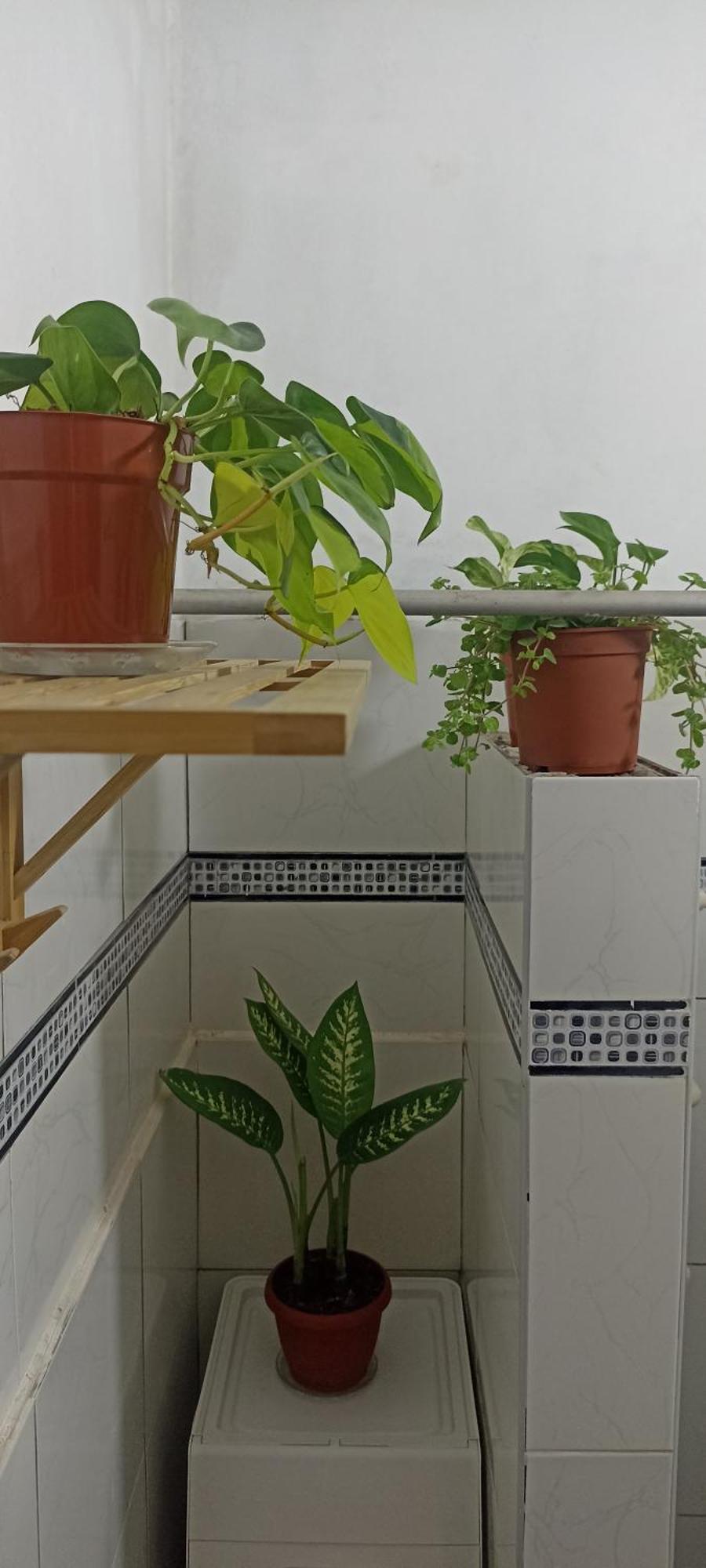 Casita Libertad Barranco Daire Lima Dış mekan fotoğraf