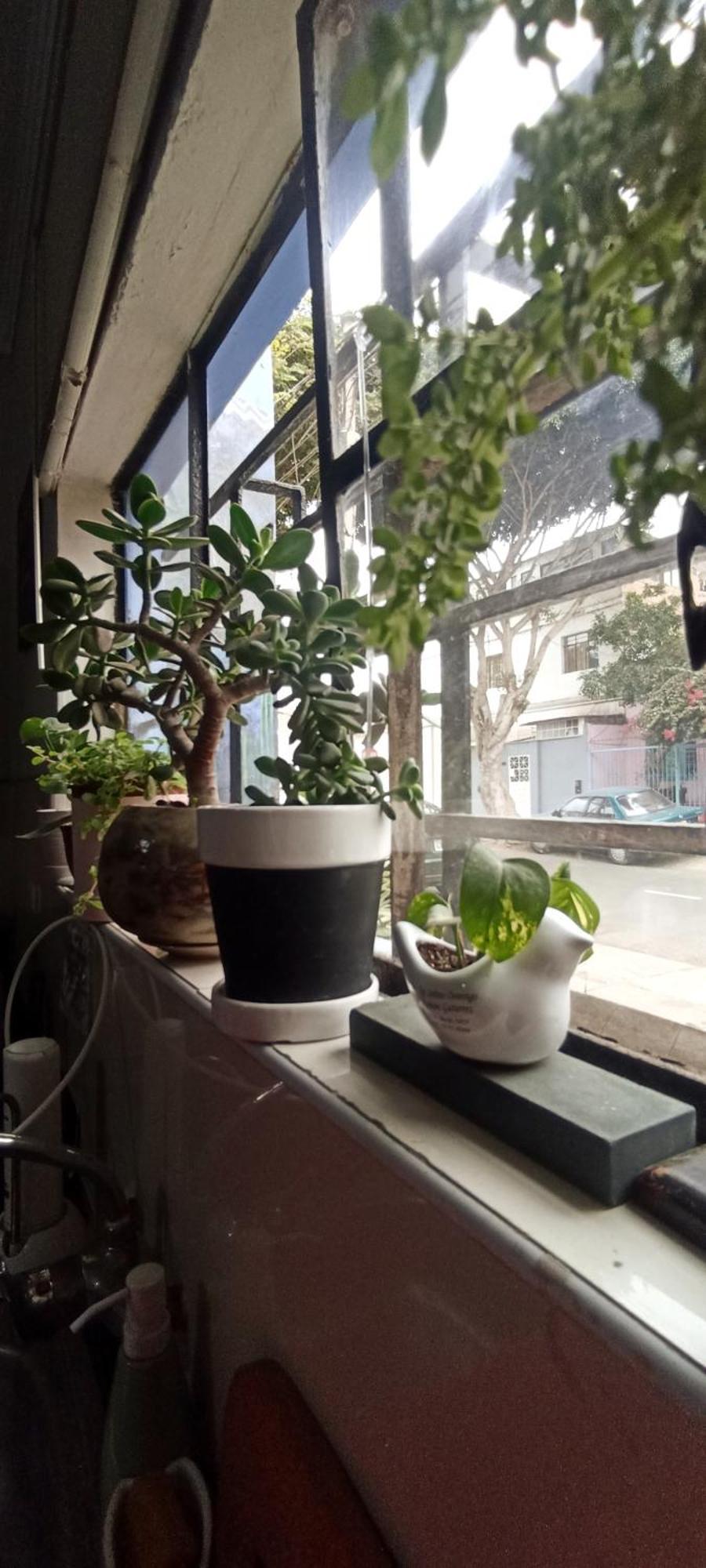 Casita Libertad Barranco Daire Lima Dış mekan fotoğraf